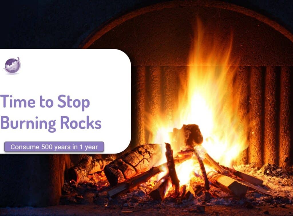 stop burning rocks and wood for energy and use renewable