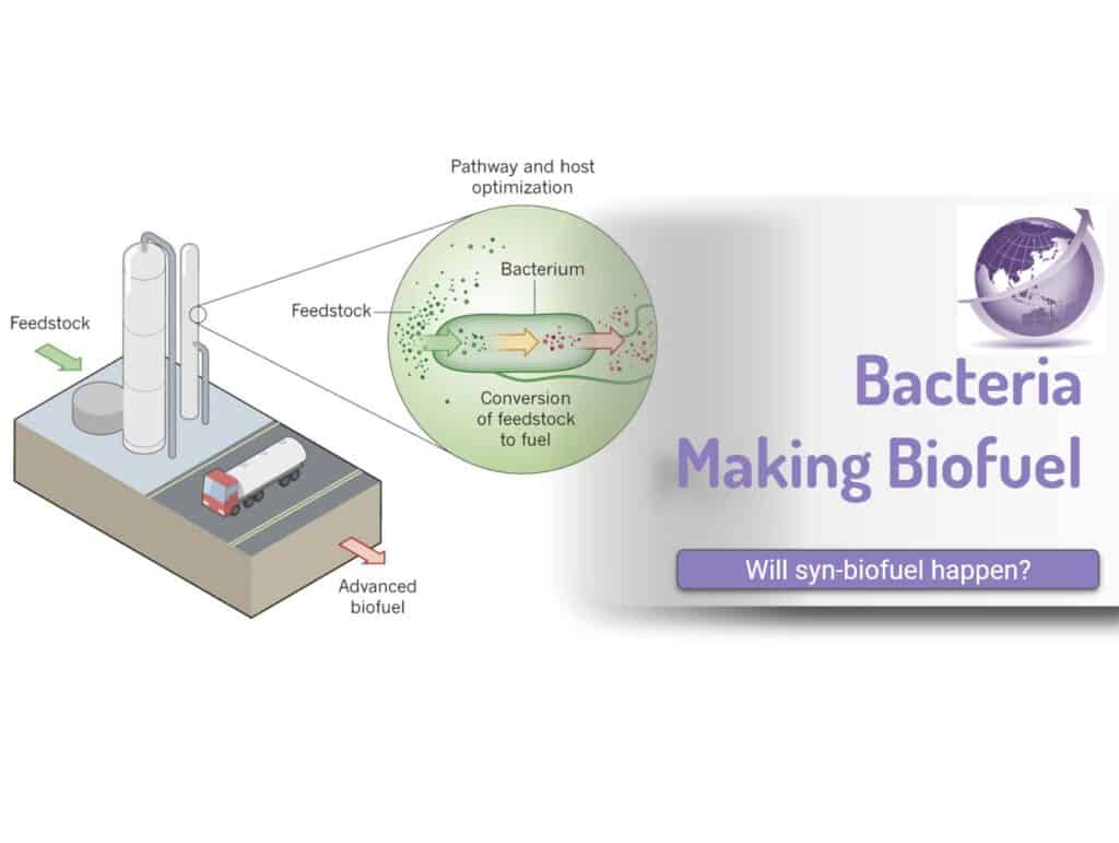 Synthetic Biofuels Using Bacteria