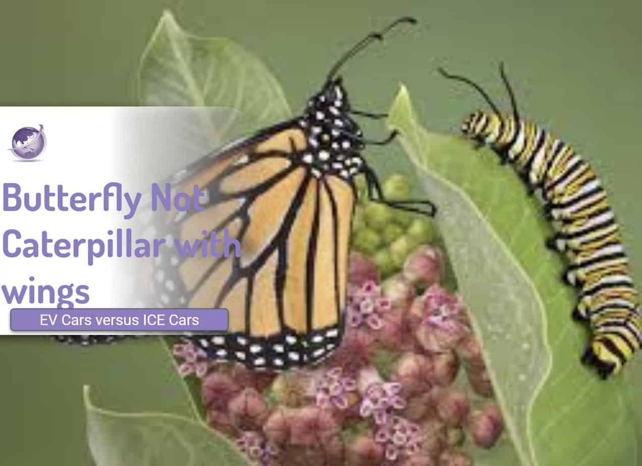 Butterfly Not a Caterpillar with Wings - Says Tony Seba